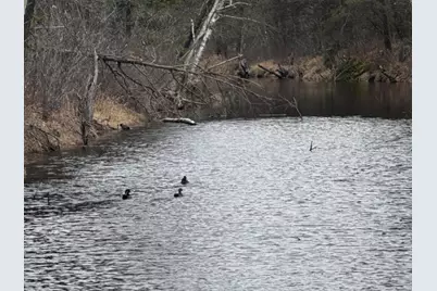 103 Ac 23rd St Acres, Necedah, WI 54646 - Photo 17