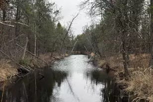 103 Ac 23rd St Acres, Necedah, WI 54646 - Photo 1