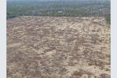 80 Ac 25th St Acres, Necedah, WI 54646 - Photo 7