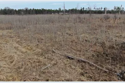 80 Ac 25th St Acres, Necedah, WI 54646 - Photo 15