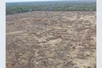 80 Ac 25th St Acres, Necedah, WI 54646 - Photo 9