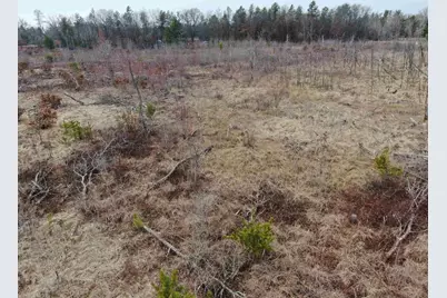 80 Ac 25th St Acres, Necedah, WI 54646 - Photo 21