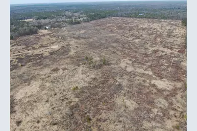 80 Ac 25th St Acres, Necedah, WI 54646 - Photo 5