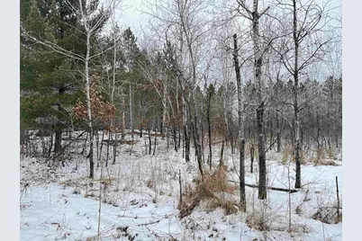 120 Ac East 30th St Acres, New Lisbon, WI 53950 - Photo 41