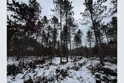 120 Ac East 30th St Acres, New Lisbon, WI 53950 - Photo 5