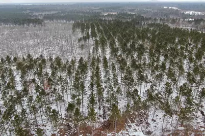 120 Ac East 30th St Acres, New Lisbon, WI 53950 - Photo 11