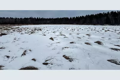 120 Ac East 30th St Acres, New Lisbon, WI 53950 - Photo 43