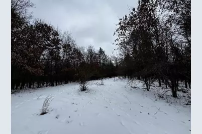 120 Ac East 30th St Acres, New Lisbon, WI 53950 - Photo 33