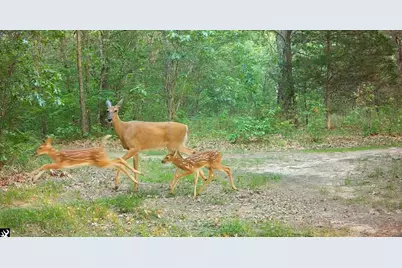 N4076 &amp; N4084 10th Drive, Montello, WI 53949 - Photo 87