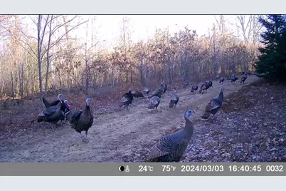 N4076 &amp; N4084 10th Drive, Montello, WI 53949 - Photo 63