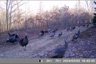 N4076 &amp N4084 10th Dr, Montello, WI 53949 - Photo 63