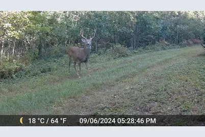 N4076 &amp; N4084 10th Drive, Montello, WI 53949 - Photo 85