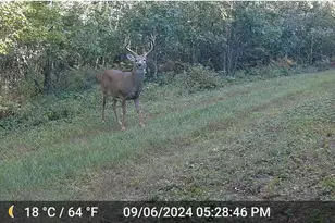 N4076 &amp N4084 10th Dr, Montello, WI 53949 - Photo 85