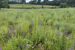 N4076 &amp N4084 10th Dr, Montello, WI 53949 - Photo 75