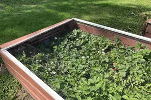 435 S Main St, Fall River, WI 53932 - Photo 61