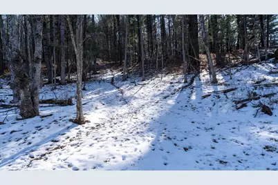 W7113 Leigh Road, Mauston, WI 53948 - Photo 63