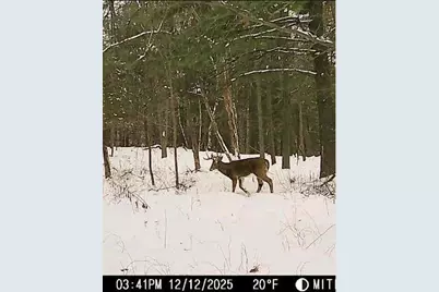 W7113 Leigh Road, Mauston, WI 53948 - Photo 31