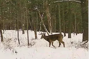 W7113 Leigh Rd, Mauston, WI 53948 - Photo 31