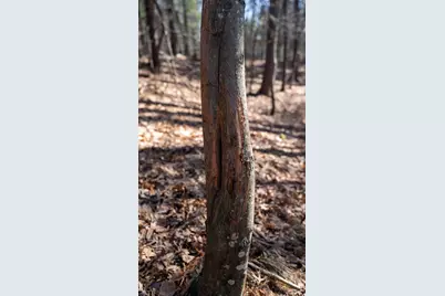 W7113 Leigh Road, Mauston, WI 53948 - Photo 43