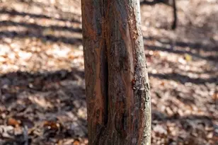 W7113 Leigh Rd, Mauston, WI 53948 - Photo 43