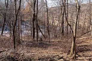 W7113 Leigh Rd, Mauston, WI 53948 - Photo 71