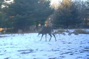 W7113 Leigh Rd, Mauston, WI 53948 - Photo 21