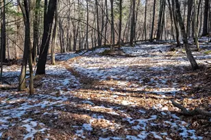 W7113 Leigh Rd, Mauston, WI 53948 - Photo 39