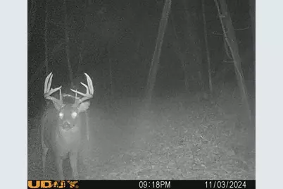 W7113 Leigh Road, Mauston, WI 53948 - Photo 23