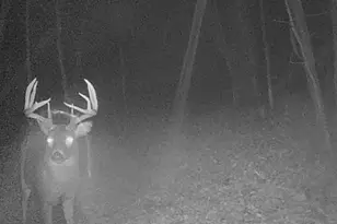 W7113 Leigh Rd, Mauston, WI 53948 - Photo 23