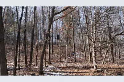 W7113 Leigh Road, Mauston, WI 53948 - Photo 59