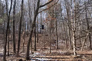 W7113 Leigh Rd, Mauston, WI 53948 - Photo 59