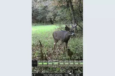 W7113 Leigh Road, Mauston, WI 53948 - Photo 27