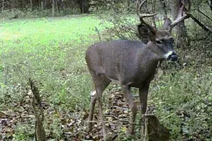 W7113 Leigh Rd, Mauston, WI 53948 - Photo 27