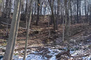 W7113 Leigh Rd, Mauston, WI 53948 - Photo 73