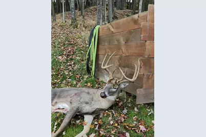 W7113 Leigh Road, Mauston, WI 53948 - Photo 21