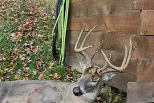 W7113 Leigh Rd, Mauston, WI 53948 - Photo 21