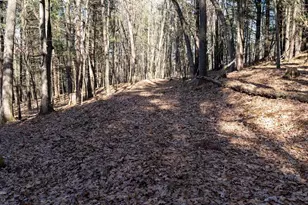 W7113 Leigh Rd, Mauston, WI 53948 - Photo 37