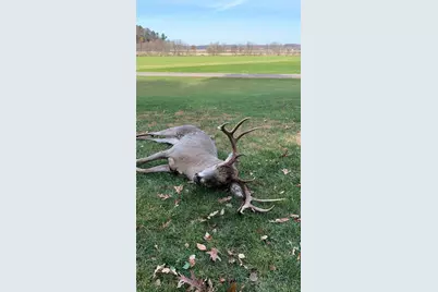 W7113 Leigh Road, Mauston, WI 53948 - Photo 25