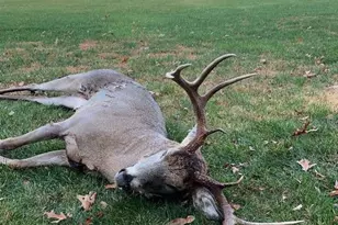 W7113 Leigh Rd, Mauston, WI 53948 - Photo 25