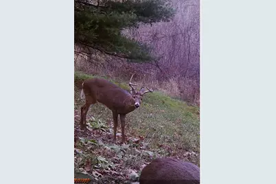 W7113 Leigh Road, Mauston, WI 53948 - Photo 19