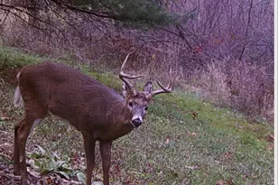 W7113 Leigh Rd, Mauston, WI 53948 - Photo 19