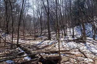 W7113 Leigh Rd, Mauston, WI 53948 - Photo 51