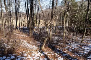 W7113 Leigh Rd, Mauston, WI 53948 - Photo 61