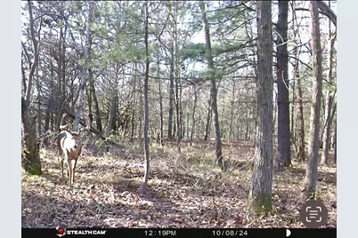 W7113 Leigh Road, Mauston, WI 53948 - Photo 29