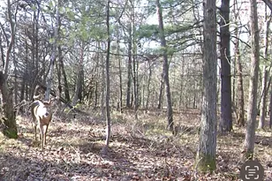 W7113 Leigh Rd, Mauston, WI 53948 - Photo 29