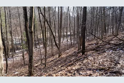 W7113 Leigh Road, Mauston, WI 53948 - Photo 57