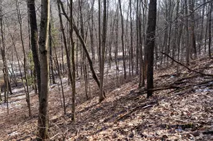 W7113 Leigh Rd, Mauston, WI 53948 - Photo 57