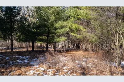 W7113 Leigh Road, Mauston, WI 53948 - Photo 69