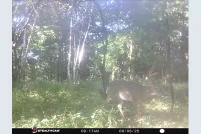 W7113 Leigh Road, Mauston, WI 53948 - Photo 29