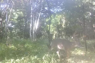 W7113 Leigh Rd, Mauston, WI 53948 - Photo 29